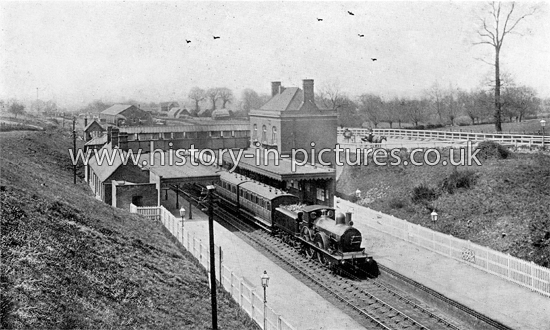 The Railway Station and Locomotive, Billericay, Essex. c.1904